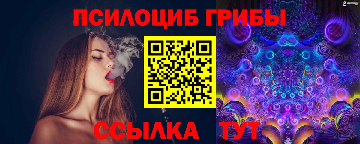Галлюциногенные грибы Psilocybine cubensis  Вход с VPN  Донской 